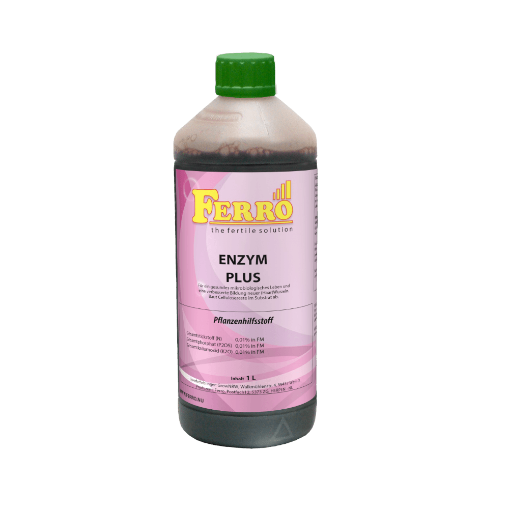 Ferro Ferro Enzym plus