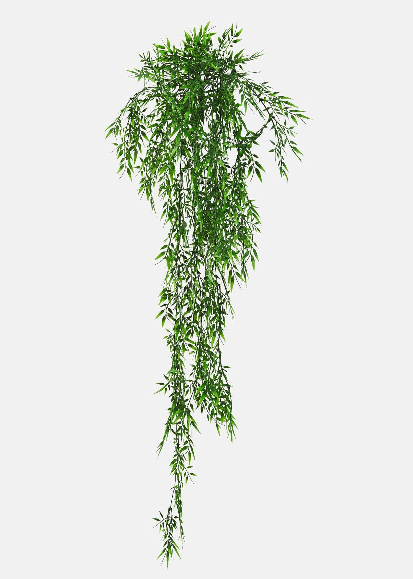 Bambou décoratif