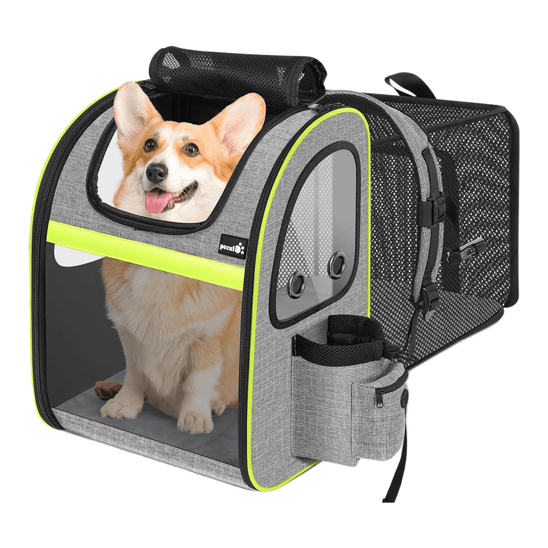 Pecute Haustier-Rucksack, Größe L, erweiterbar, geeignet für Katzen bis 11 kg oder Hunde bis 10 kg, atmungsaktiver Netzstoff, für Reisen und